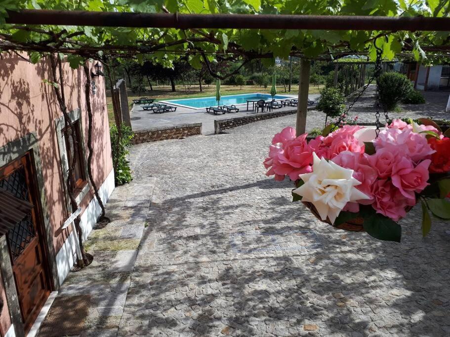 Villa Quintinha De Santiago Oliveira de Azemeis Exterior foto
